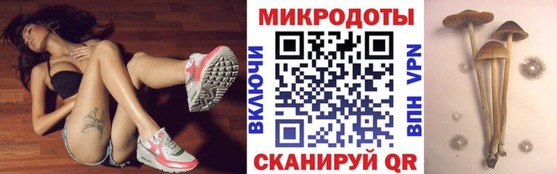 Псилоцибиновые грибы мухоморы  Горняк 